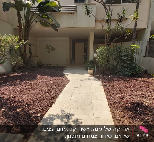 שביל אבן בגינה עם עצים ושיחים מסביב